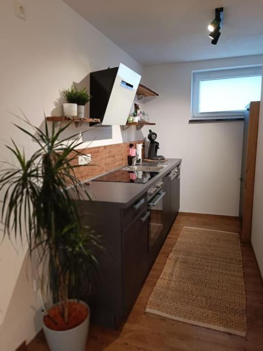 Altholzapartment In Kempten 瓦尔滕霍芬 外观 照片